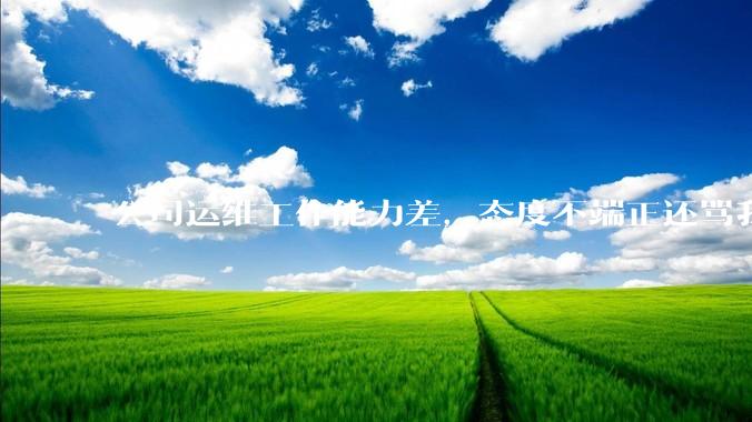 公司运维工作能力差，态度不端正还骂我，辞退他还要补偿该不该给？