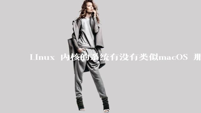 Linux 内核的系统有没有类似macOS 那样漂亮流畅的桌面环境的发行版本?